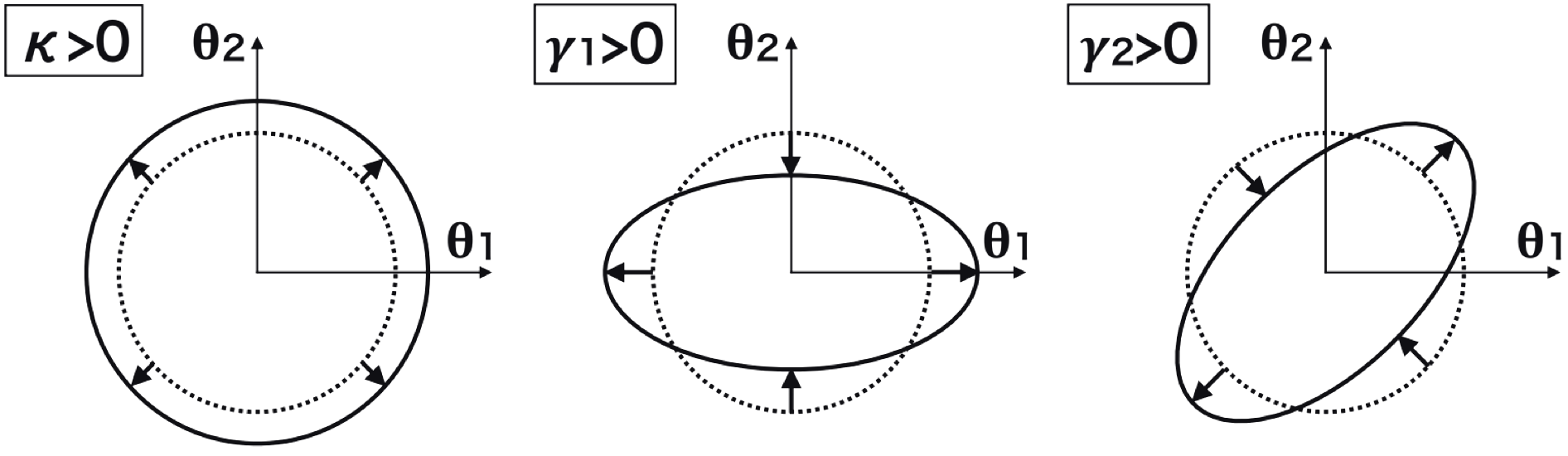 three panels showing how a circular source is distorted: convergence enlarges it isotropically, and the two shear components stretch it along the axes and along the diagonals