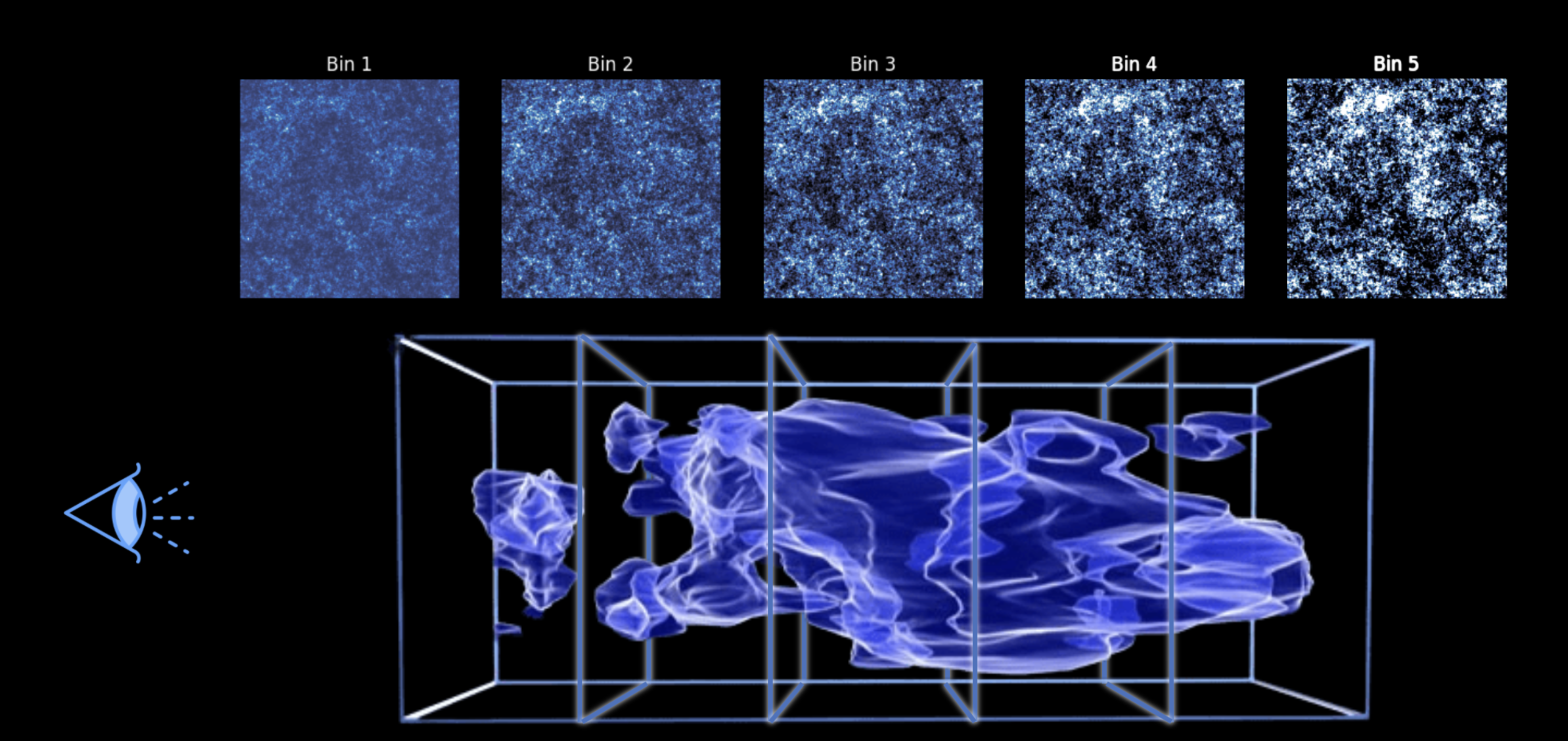 the source galaxies as tomographic convergence maps, one per redshift bin