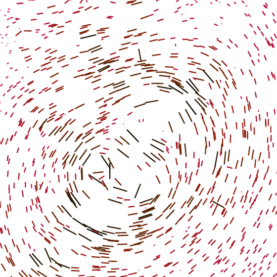 the measured shear field